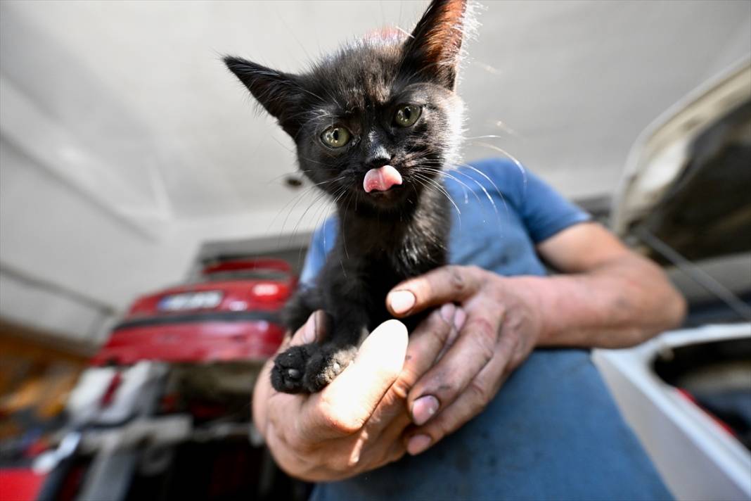 Tamirhanenin yeni Çırak'ı görenlerin yüzünü güldürüyor 19
